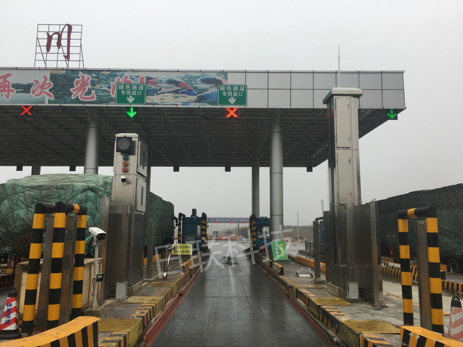 金年会科技绿色通道快检系统